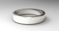 Painter Ring Silver | 3D