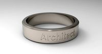 Architect Ring Platinum | 3D