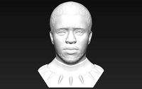 Chad Boseman Black Panther bust 3D printing ready stl obj | 3D