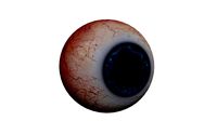 Eye