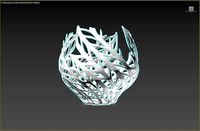 Coral Bin | 3D