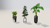 Plants Assests  3D model for blender and other format