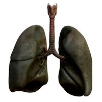 Lungs Smoker