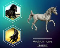 Arabian horse model | 3D