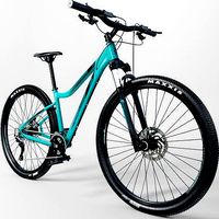 Bike MERIDA