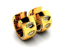 Earrings-489 | 3D