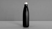 Vacuum Bottle