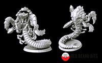 Xenoteras burrowers | 3D