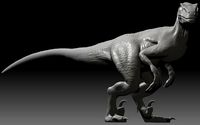 Velociraptor  | 3D