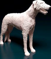 Irish wolfhound | 3D