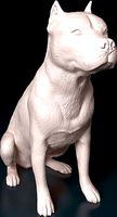 Pitbull female | 3D