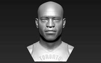Vince Carter bust 3D printing ready stl obj formats | 3D