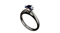 p27 ring | 3D