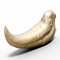Raptor Claw