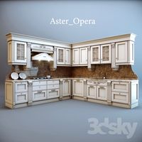 Aster / Opera