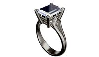 p13 ring | 3D