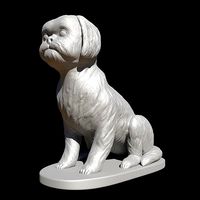 Seated Shih Tzu  | 3D