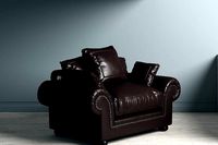 Afrique Leather Armchair