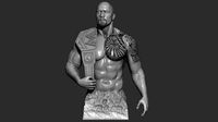 Bust The Rock - Dwayne Johnson 3D Print | 3D