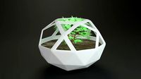 Planter | 3D