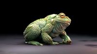 Bufo Alvarius - Sonoran Desert Toad | 3D