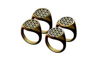 Moroccan beldi signet ring | 3D