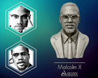 portrait sculpture of Malcolm X ready to 3D print | 3D