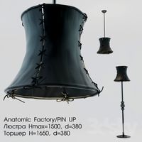 Anatomic Factory / PIN UP