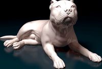 Pitbull | 3D