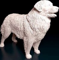 Leonberger | 3D