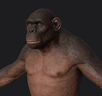 Ape naked