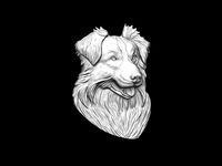 Border Collie dog bas relief pendant 3dprint model | 3D