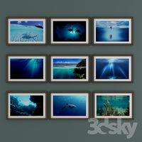 Pictures Underwater