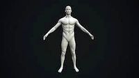 Male Body