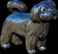 Shih Tzu | 3D