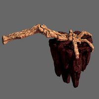 Meteor Dragon Purgatory-Claws-Rear Left