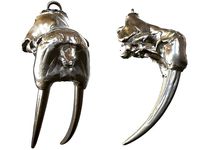 Cranium Charm Walrus | 3D