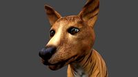 DFOX-010 Rigged Fox