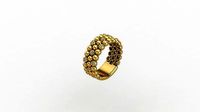 Lumpy Ring | 3D