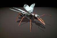 Ant Bulldog Wings