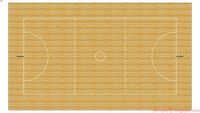 Netball court