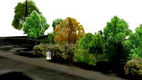 Weimar Ilm Park 1.11