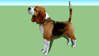 Dog(3D)