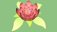 Lotus Flower