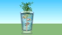 Aquarium Botol