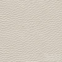 Leather Pelle_