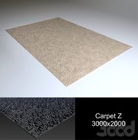 Carpet Z
