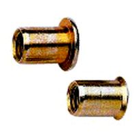 Rivet nut with mushroom head