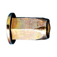 Rivet nut with round pan head and hexagon shank