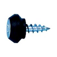 Nipple screw with plastic head/threaded tip